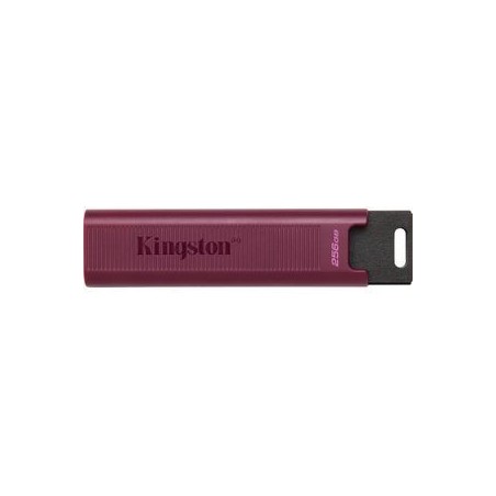 Kingston DataTraveler Max 256GB USB 3.2 Gen 2 USB stick Lilla